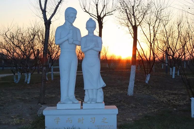 1530173626899149.jpg 微信图片_20180628120816.jpg
